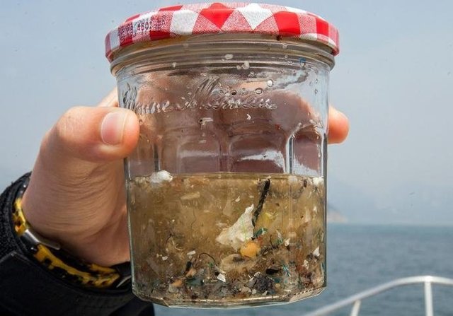 如果知道海洋中的塑料垃圾會進入人類肚子，你還會丟嗎？