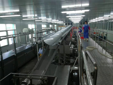 面筋生產(chǎn)流水線(xiàn)